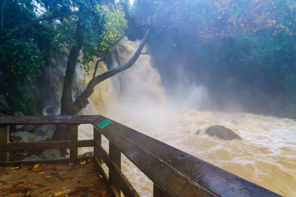 Starkt vintervattenflöde i Banias vattenfall — Stockfoto