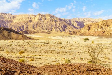 Timna Vadisi'nde manzara