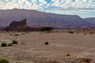 Timna Vadisi'nde manzara