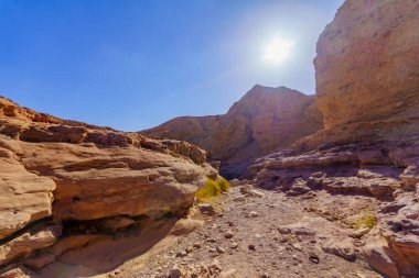Kızıl Kanyon (kızıl kayalarla oyulmuş çöl vadisi). Eilat Dağları