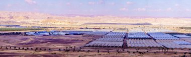 Moshav Paran 'da kırsal ve çöl manzarası