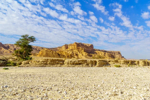 Nahal Paran valley, the Negev desert — Stock Photo, Image