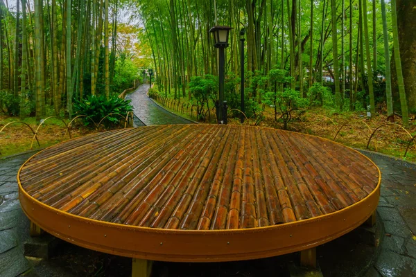 Malý bambusový les v Šuzenji — Stock fotografie