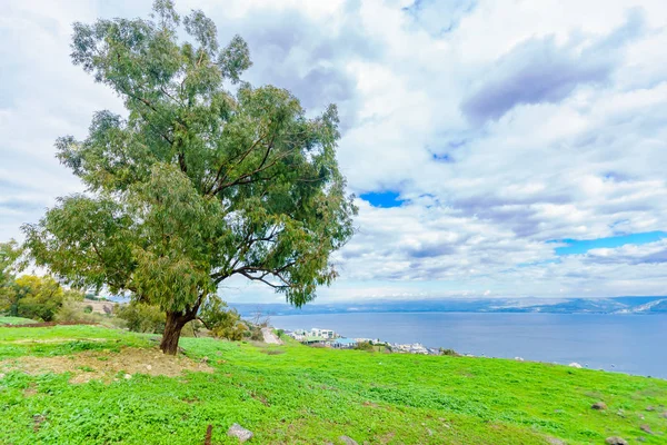 View from the west of the Sea of Galilee — 스톡 사진