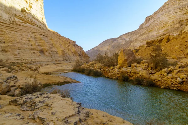 Canyon del Parco Nazionale di Ein Avdat, nel deserto del Negev — Foto Stock