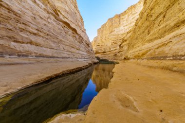 Ein Avdat Milli Parkı Kanyonu, Negev Çölü