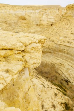 Ein Avdat Milli Parkı Kanyonu'nun üst manzarası