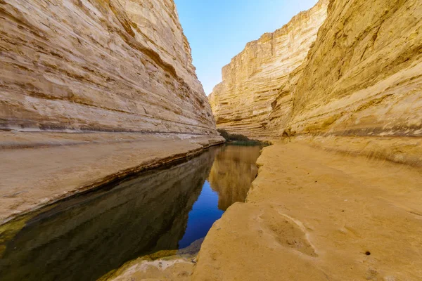 Cañón del Parque Nacional Ein Avdat, el desierto del Negev — Foto de Stock