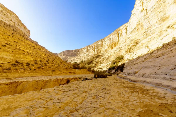 Canyon del Parco Nazionale di Ein Avdat, nel deserto del Negev — Foto Stock