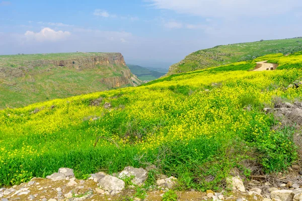 Krajinný Pohled Horu Arbel Horu Nitay Severní Izrael — Stock fotografie