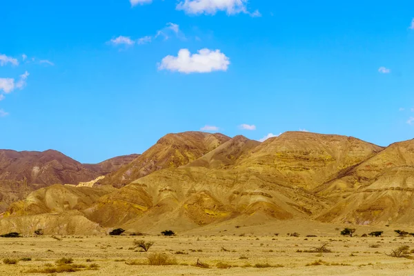 Blick Auf Die Wüstenlandschaft Von Arava Südisrael — Stockfoto