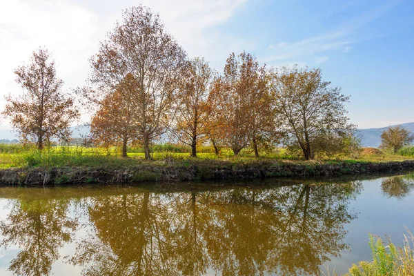 Alberi Riflessione Nella Valle Hula Israele Del Nord — Foto Stock