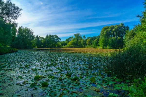 Vista Del Jardín Botánico Montreal Quebec Canadá — Foto de Stock