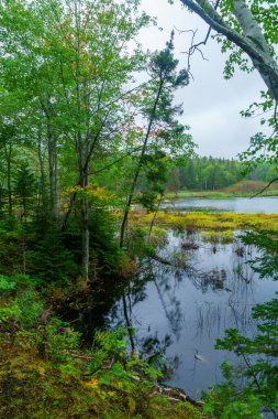 Ingonish plaj ve Cape Breton Highlands Milli Parkı, Nova Scotia, Kanada Freshwater Gölü