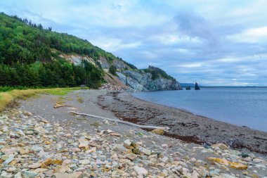Cape Breton Adası, Nova Scotia, Kanada 'da Cabot Patikası boyunca manzara (Le Buttereau yakınlarında)