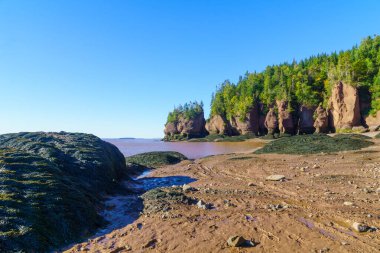 Hopewell Kayaları 'nın alçak gelgit manzarası, New Brunswick, Kanada