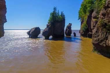 Hopewell Kayalıkları 'nın gelgitteki görüntüsü. New Brunswick, Kanada