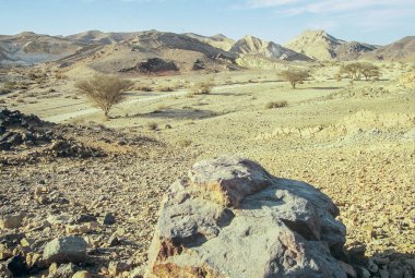 Makhtesh Ramon 'daki (Ramon Krateri) çöl manzarası. Güney İsrail