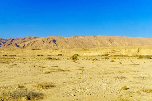 Sivatagi Táj Arava Déli Izrael Északi Részén — Stock Fotó