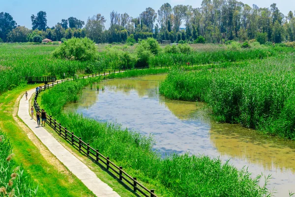 Hulata Israël Mei 2020 Zicht Een Voetpad Wetland Met Bezoekers — Stockfoto