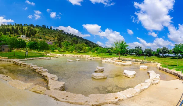 Vue Panoramique Une Pataugeoire Dans Parc National Maayan Harod Des — Photo