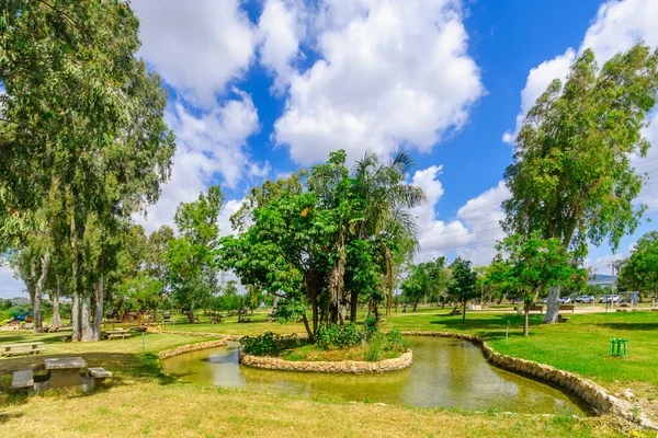 Widok Teren Piknikowy Kanały Wodne Drzewa Parku Narodowym Maayan Harod — Zdjęcie stockowe