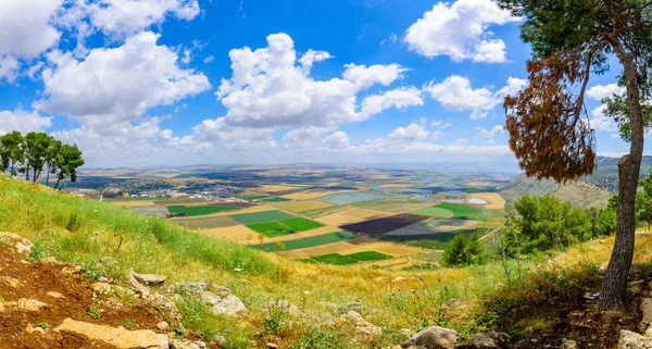 Gilboa Dağı 'ndan Jezreel Vadisi' nin panoramik manzarası. Kuzey İsrail