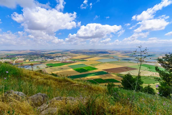 Paisaje Del Valle Del Jezreel Desde Monte Gilboa Norte Israel — Foto de Stock