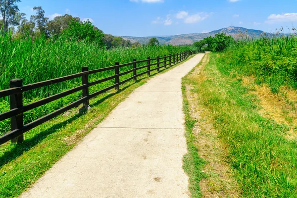 Blick Auf Einen Fußweg Hula Nature Reserve Nordisrael — Stockfoto