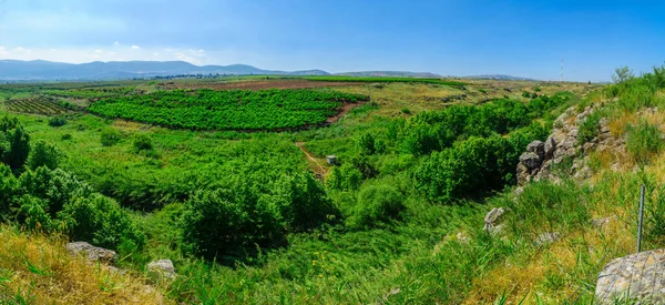 Panoramic Landscape Snir Stream Hasbani River Nature Reserve Northern Israel — Stock Photo, Image