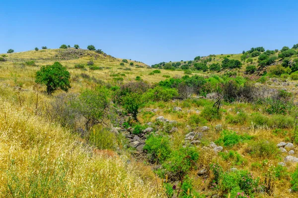 ビューザビタン川沿いの風景 Yehudiya森林自然保護区 ゴラン高原 北イスラエル — ストック写真