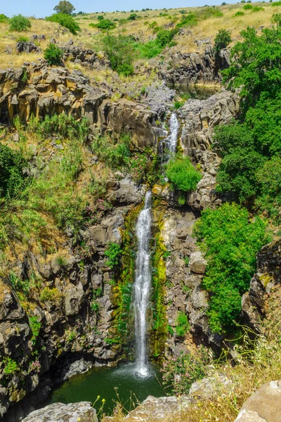 Utsikt Över Vattenfallet Zavitan Yehudiya Forest Nature Reserve Golanhöjderna Norra — Stockfoto