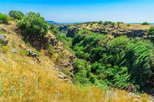 Pohled Krajinu Strž Potoka Zavitan Přírodní Rezervaci Yehudiya Forest Golanské — Stock fotografie