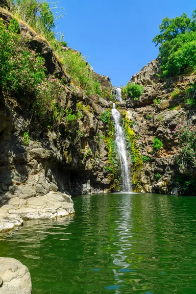 View Zavitan Waterfall Yehudiya Forest Nature Reserve Golan Heights Northern — Stock Photo, Image