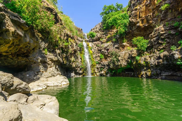 View Zavitan Waterfall Yehudiya Forest Nature Reserve Golan Heights Northern — Stock Photo, Image