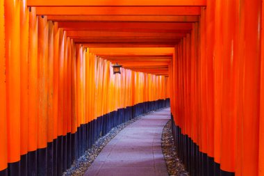Kyoto, Japonya - 10 Ekim 2019: Japonya 'nın Kyoto kentindeki Inari Dağı' nın yukarısındaki Torii kapılarının manzarası