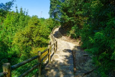 Japonya 'nın Miyajima (Itsukushima) adasındaki Misen Dağı' ndaki patika manzarası