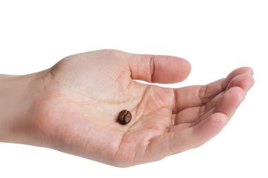 Beyaz arka planda kahve çekirdekleri..