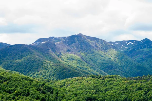 Paysage Montagne Avec Des Nuances Vertes Pins Pic Avec Peu — Photo