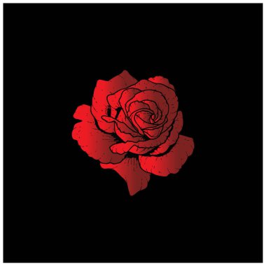 Kırmızı gül logo şablonu Vektör çizimi