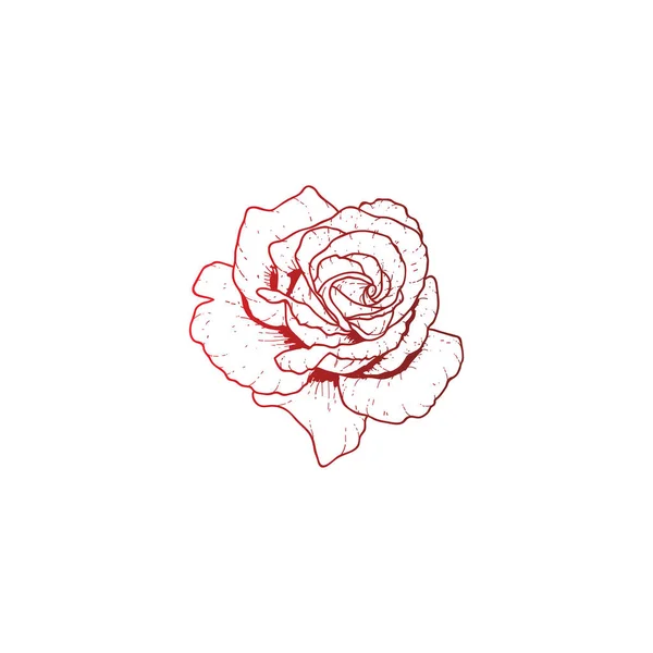 Modèle Logo Rose Rouge Illustration Vectorielle — Image vectorielle