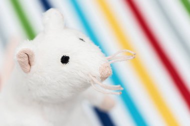 Renkli arka planda oyuncak beyaz fare.