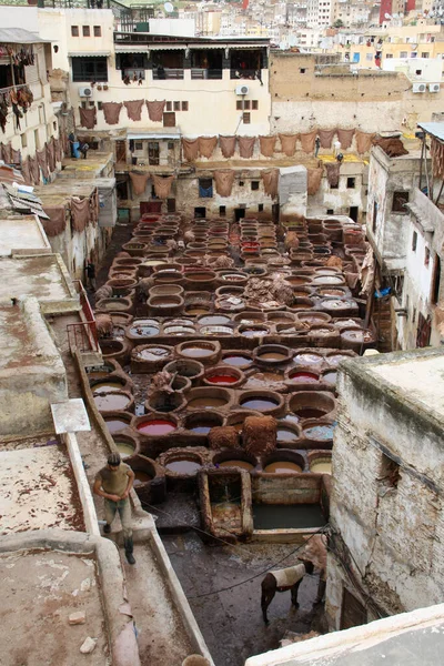 Cuero muriendo en una curtiduría tradicional, Fez, Marruecos —  Fotos de Stock