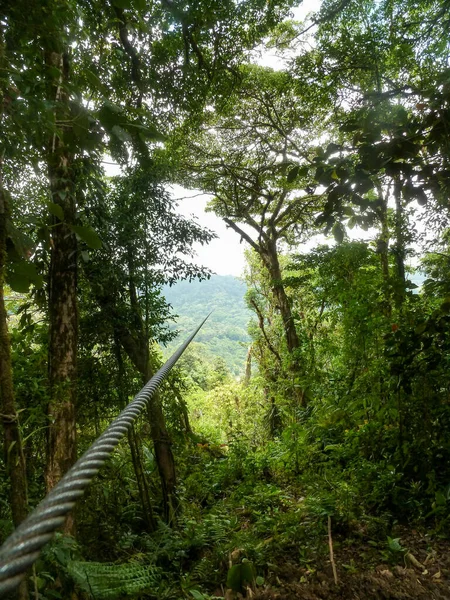 Zipline aventura na selva da Costa Rica Imagem De Stock