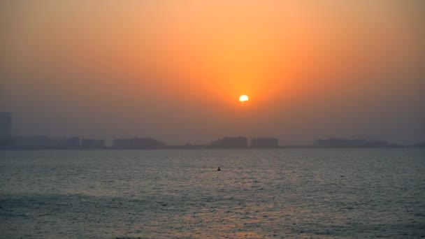 Time lapse tramonto mare palma — Video Stock