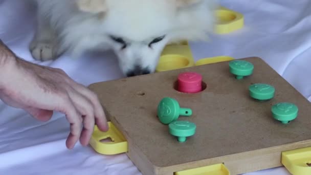 Menschen Erstellen Spiele Menschen Erstellen Spiele