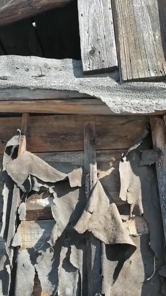 Old Barn Being Destroyed — Stock Video