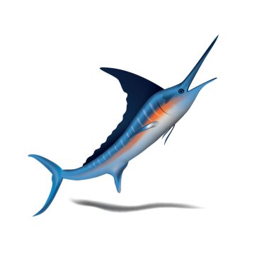 Mavi kılıçbalığı resmi..