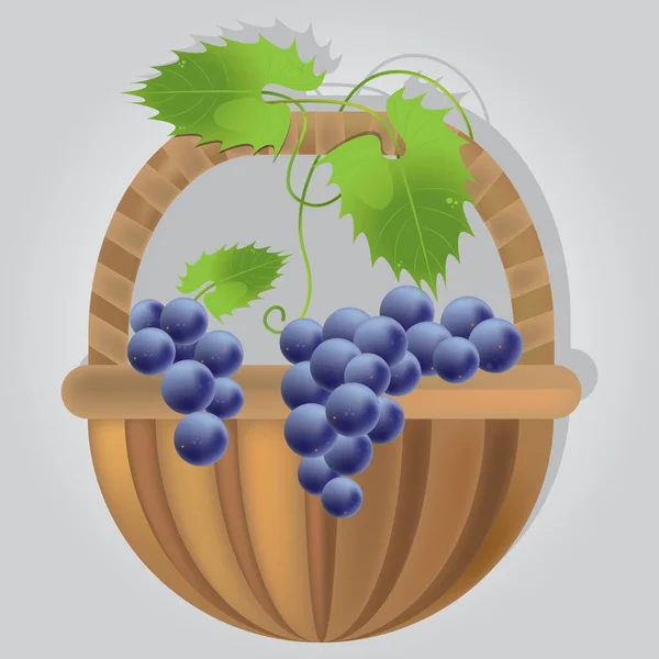 Bunch Grapes Basket — Stock Vector