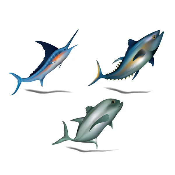 Eine Reihe Von Fischen Illustration — Stockvektor